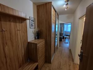 1,5 room AC apartment, Rača