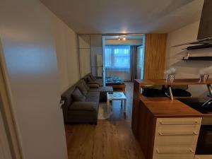 1,5 room AC apartment, Rača