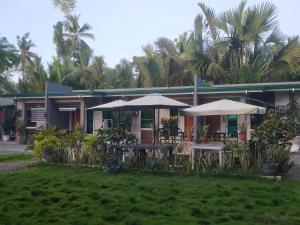 29 Palms Panglao Suites