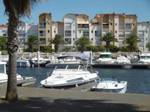 Studio rénové, proche port & village, parking, animaux admis - FR-1-796-83