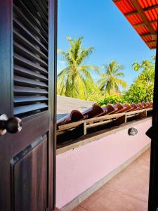 Tortuguero Casa Pelican