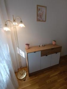 Centar Lux Apartman Full opremljen