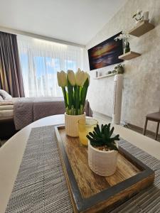 Apartamentai ALDMA Palangos miesto širdyje