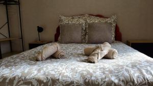 Charmant T2 Spacieux idéalement situé - 2 chambres