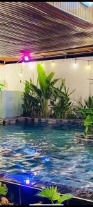 Biệt Thự Hồ Bơi 207 Võ Thị Sáu