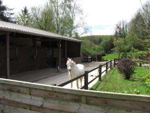 Maisons d'hotes L'Ecurie : photos des chambres