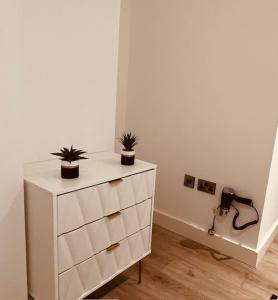 Stylish studio apartment