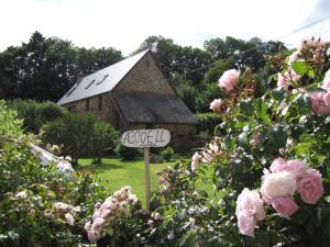 Maisons d'hotes L'Ecurie : Chambre Double - Vue sur Jardin