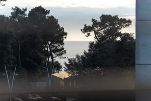 Appartement vue mer avec accès direct plage - parking privatif