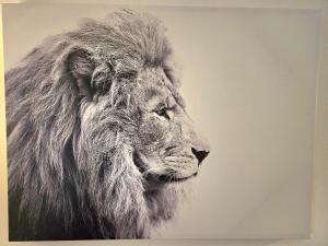 Minutes to Universal - Sunny Artist Loft Studio