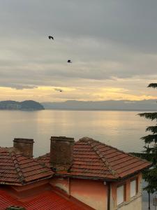 Villa Fantasy Premium Lakeview