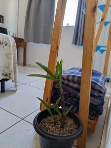 Apartamento São Sebastião - SP - 1,5km da balsa Ilhabela