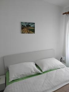 Sara Pula Center Room No1