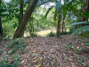 Camping Los Búfalos