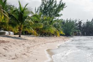 Rise and Dive - 3BR - Beach Front Private Terrace