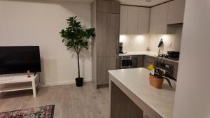 Cozy 1 bed and 1 bath Executive Retreat