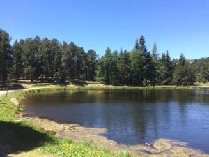 Chalets Chalet de l'Esquirol : photos des chambres