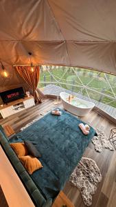 Skynest Dome by Green Garden Glamping Retezat