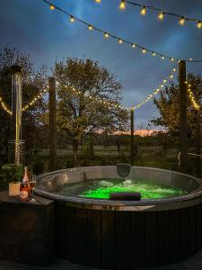 Skynest Dome by Green Garden Glamping Retezat