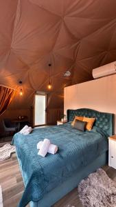 Skynest Dome by Green Garden Glamping Retezat