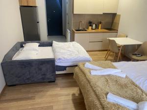 Cozy apartment Dvali