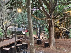 Mondulkiri Pizza Bungalows