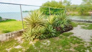 See Belize SUNRISE Sea View Studio with Pool & Deck, 1st Floor