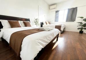 悉尼 Central Strathfield quiet share stay 民宿 客房