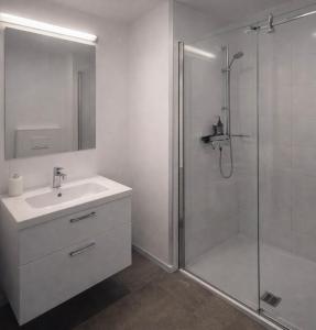 4-Bed Apartment Central Zurich