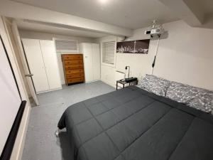 Renton Historical Hill 1 bed 1 bath basement