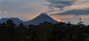 Cabañas Rusticas Raíz de Fuego