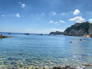 Family house 2 pools Cala Blanca