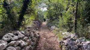 Villa Ruby beachfront by Villas Guide