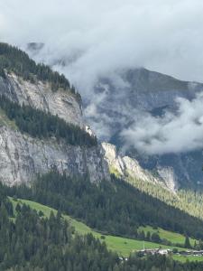 Waldheim Laax Pension