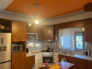 AGGELOCHORI VILLA APARTMeNT