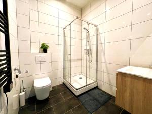 Tilburg 2br apartment, group friendly with kitchen