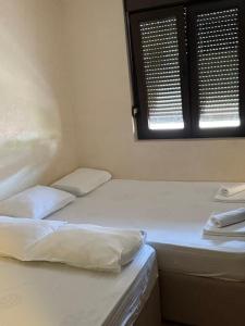 Apartman ML Company