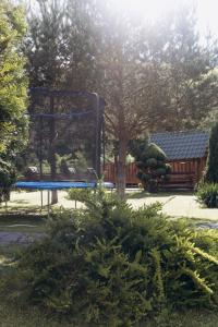 Сонячний Лаз