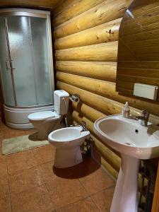 Три підкови