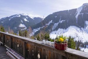 Lengaualm- Almhütte in Saalbach Hinterglemm mit Joker Card
