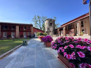 Agriturismo Chioso di Sotto