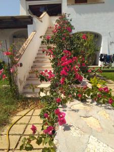 Casa Sardegna Budoni
