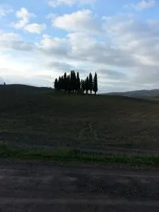 Passaggio in Val d' Orcia - Torrenieri