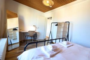 Simply Cozy Apartment in Winterthur