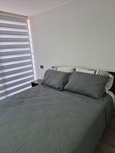 Comfortable and bright apartment in Barrio Franklin