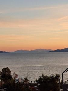 Apartment harmony Saranda vibes