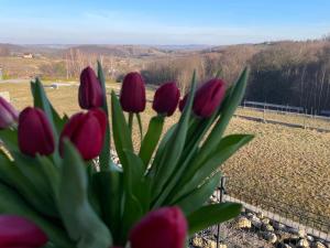 Domek Na Wzgórzu Roztocze