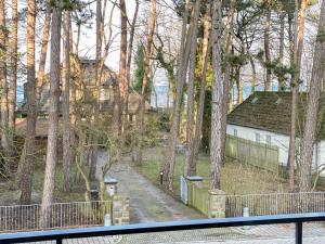 Strandmotte