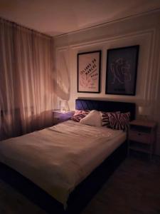 Central Aalborg Stay Quiet Courtyard Garden