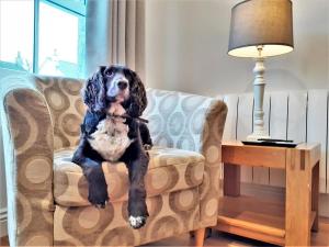 1 Bed in Penzance oc-86149